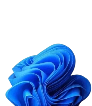 Windows 11 Pro License